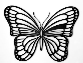 Butterfly 2D Laser Art Ireland