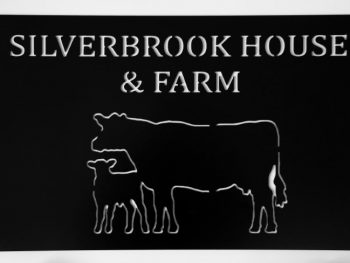 silverbrook 2D Laser Art Ireland